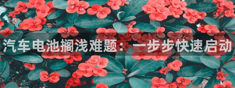 优发国际官方网手机版下载