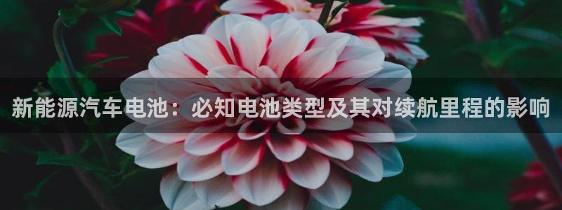 优发国际官网官方网址