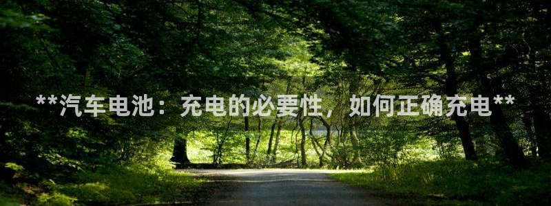 优发国际手机版网站下载