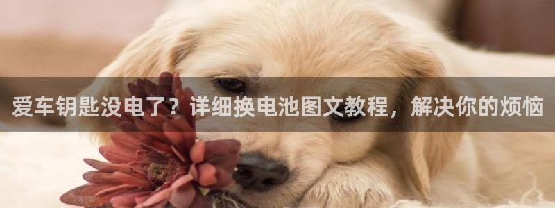 优发国际的官网是什么