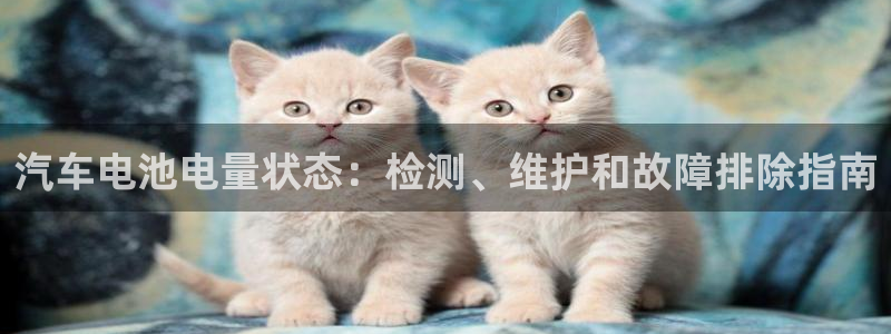 优发国际游戏官方网站入口