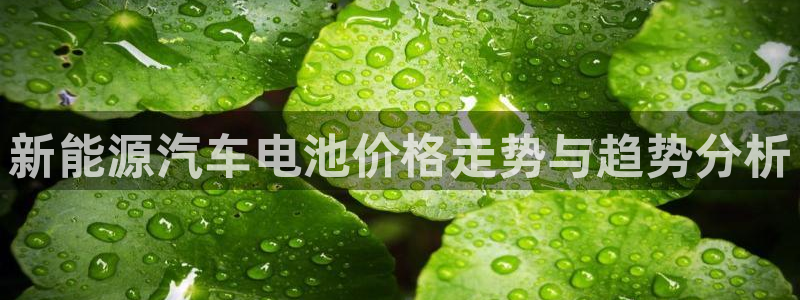 优发国际vip网址