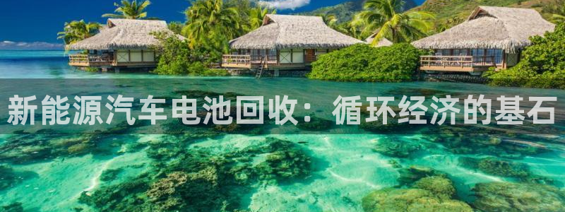 优发国际手机app下载安装官网