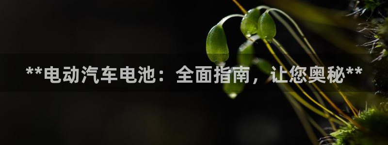 优发国际手机客户端官网
