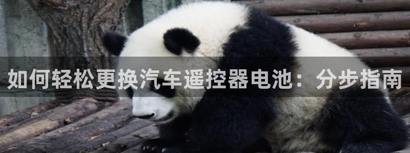 优发国际youfa