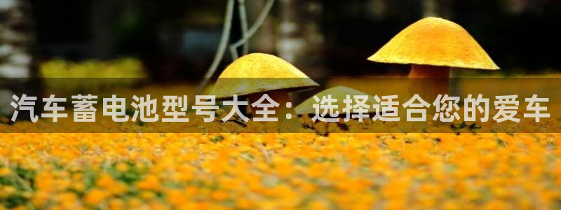 优发国际是大平台吗还是小平