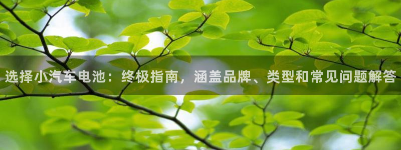 优发国际官网手机号
