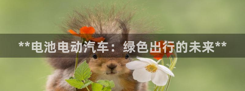 优发国际客服联系方式电话