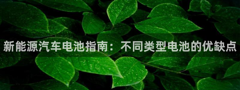 优发国际集团股份有限公司是国企吗