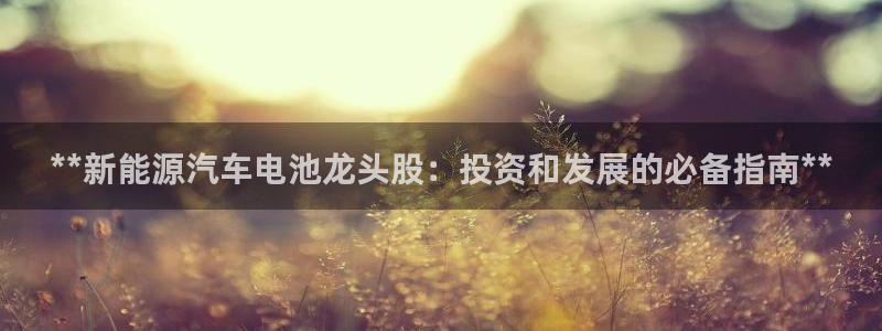 优发国际多少