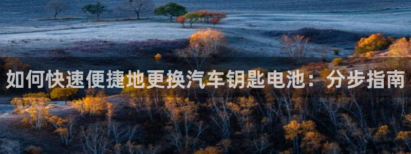 优发国际平台u8是什么