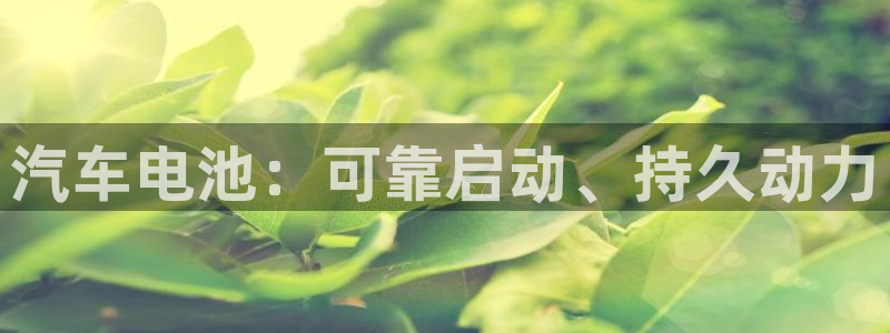 优发国际集团股份有限公司是国企吗