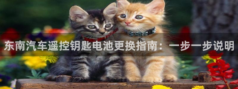 优发国际游戏