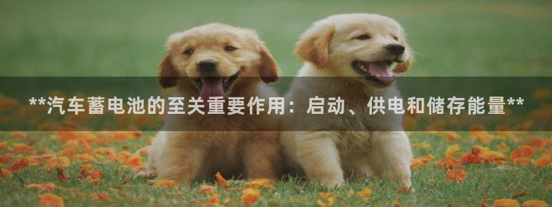 优发国际手机版下载官网