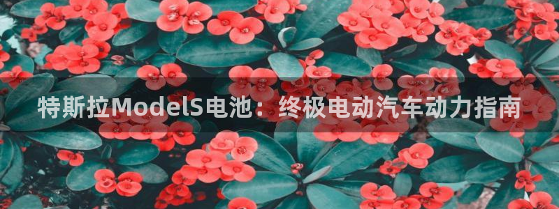 优发国际手机客户端官网下载