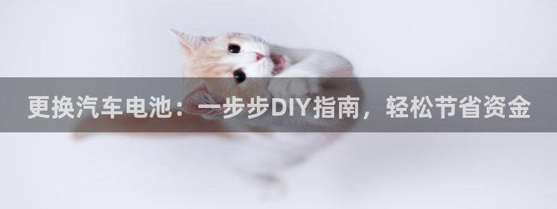 优发国际登陆u