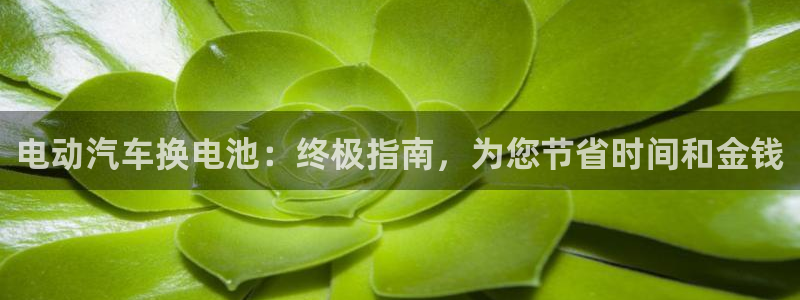 优发国际网站多少