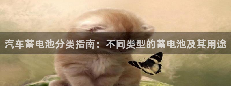优发国际手机版客户端下载安装