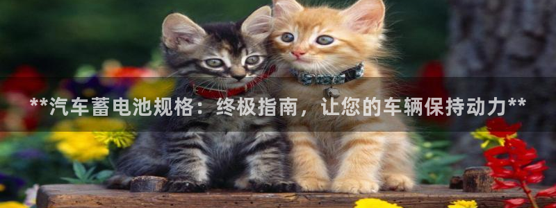 优发国际是合法的吗