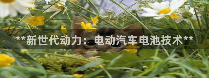 优发国际可以玩吗