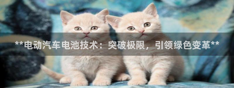 优发国际网官网17o8