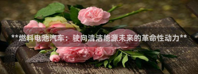 优发国际集团股份有限公司是国企吗