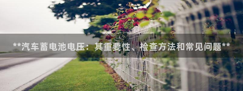 优发国际在哪里下载