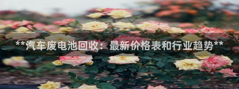 优发国际合并到哪里了最新消息