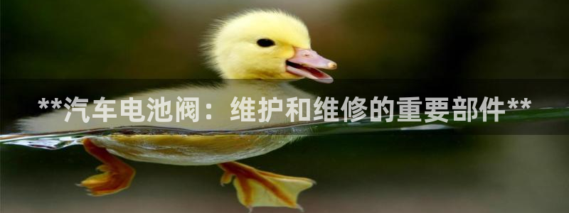 优发国际手机安装登录失败