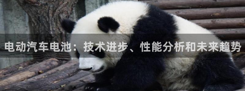优发国际游戏网站