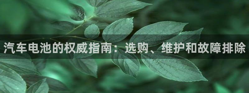 优发国际提现不了