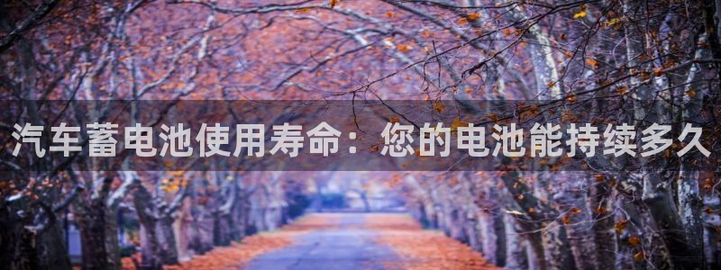 优发国际平台app下载安装