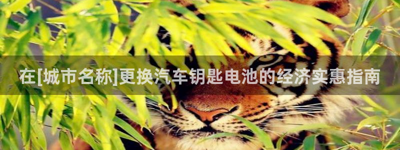 优发国际官网下载安装app