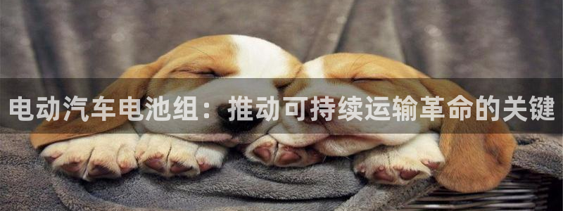 优发国际官网官方网址