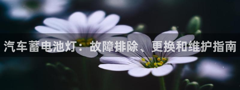优发国际手机客户端下载安装