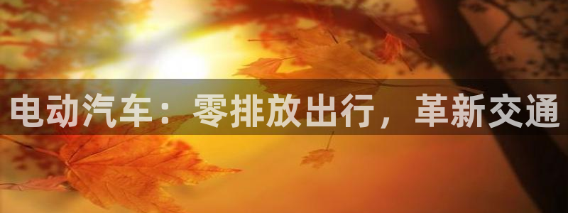 优发国际官方网平台电话