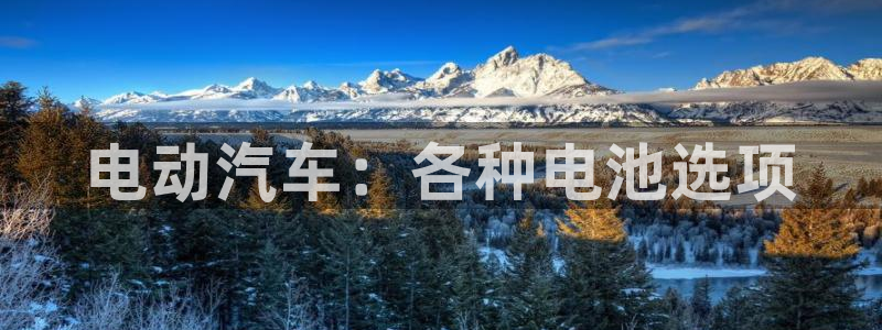 优发国际官方网手机版下载