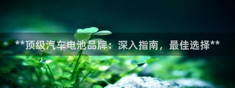 优发国际合并到哪里了