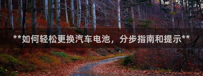 优发国际游戏17