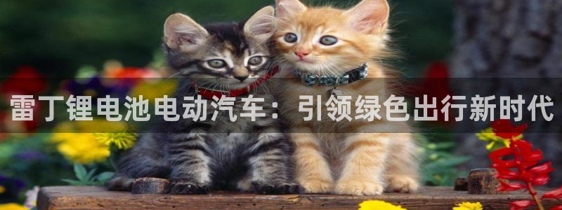 优发国际官网值是多少