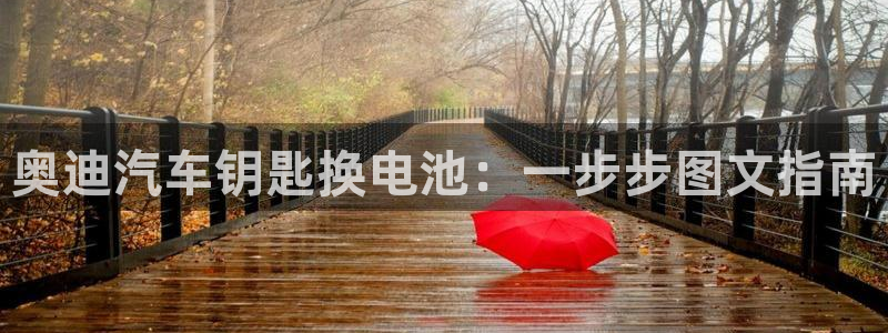 优发国际下载安装