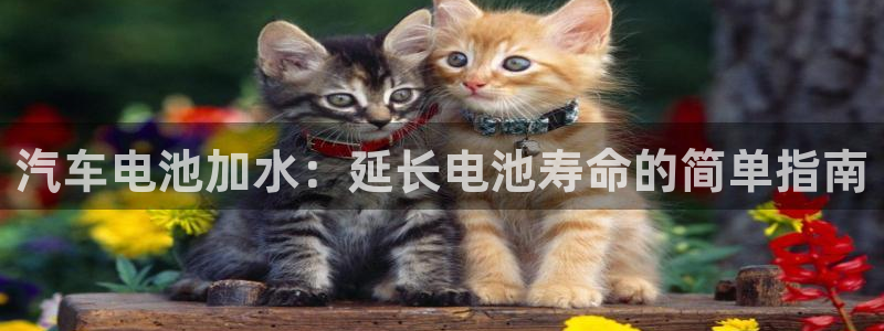 优发国际合并到哪里了