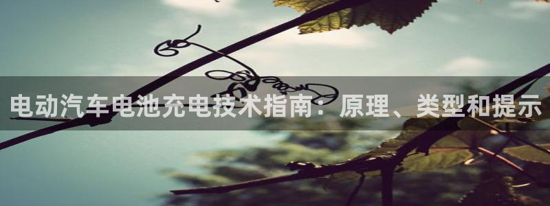 优发国际官方网手机版