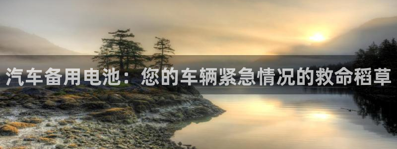 优发国际youfa