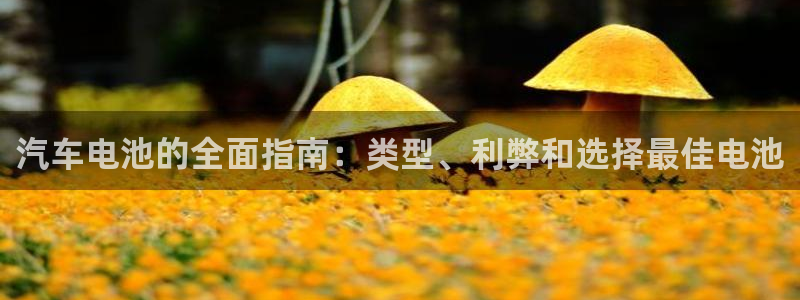 优发国际平台g80