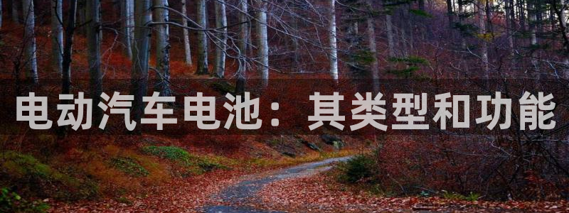 优发国际顶级