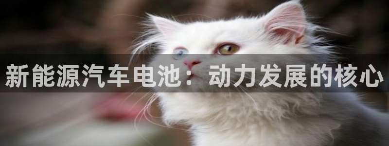 优发国际游戏n