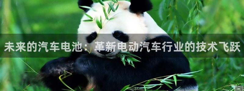 优发国际网站多少