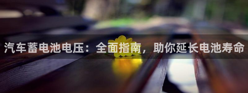 优发国际首页首页y6