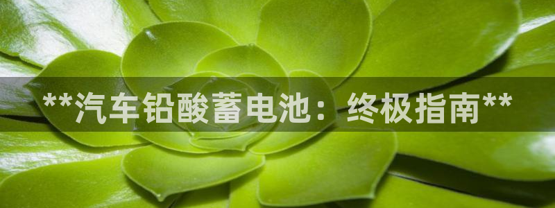 优发国际官方网手机版入口